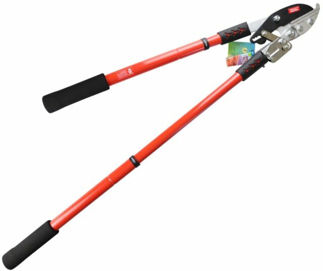 Amtech Telescopic Garden Ratchet Anvil Lopper Tree Branch Pruner 3yr For Sale Online Ebay