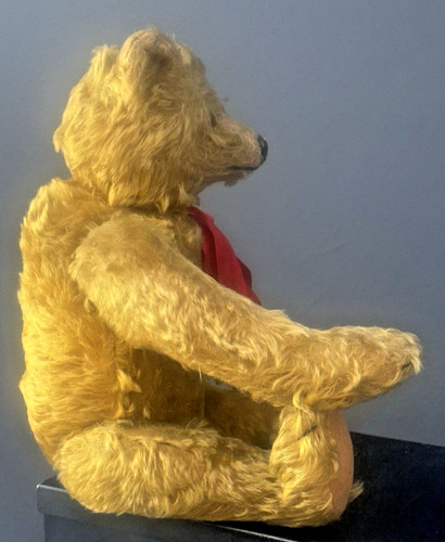 Antique 1915 STEIFF 16" Gold Teddy Bear Hump Long Arms Straw Filled with Button