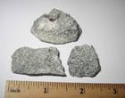 3 SMALL RARE NATURAL ROUGH * GUARDIANITE * STONE MINERALS OREGON USA ~ 31.9grams — photo 6
