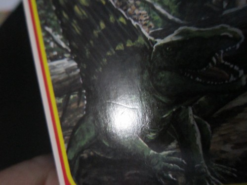 DIMETRODON # 5 JURASSIC PARK JP01 SERIES 1 MOVIE COLLECTOR CARD KENNER NM EX+ - Picture 3 of 6