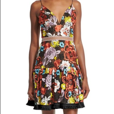 Alexis Floral Embroidered A-Line Dress Spaghetti Straps XS
