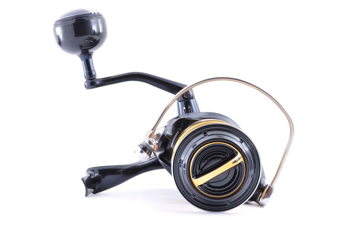 SHIMANO 19 STELLA SW 8000 PG Spinning Reel Free Shipping SHIMANO 19 STELLA SW 8000 PG Spinning Reel Free Shipping