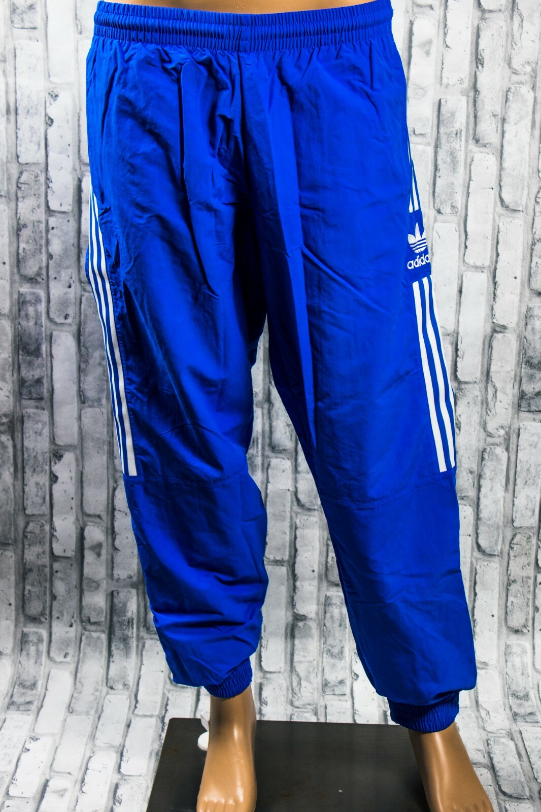 bluebird adidas pants