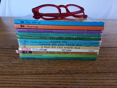 Marienkäfer Bücher aus Schlüsselwörtern leichtes Lesen Schema, EINZELBUCH, lesen lernen