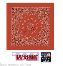 USA MADE Hav-A-Hank BURNT ORANGE PAISLEY BANDANNA Bandana Head Wrap Scarve Scarf