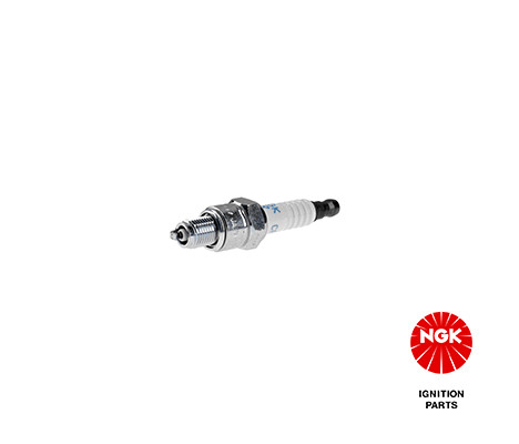 Spark Plug NGK 6535