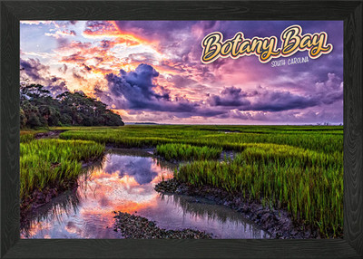 Botany Bay South Carolina Gerahmtes Wandbild Poster Leinwanddruck Bild