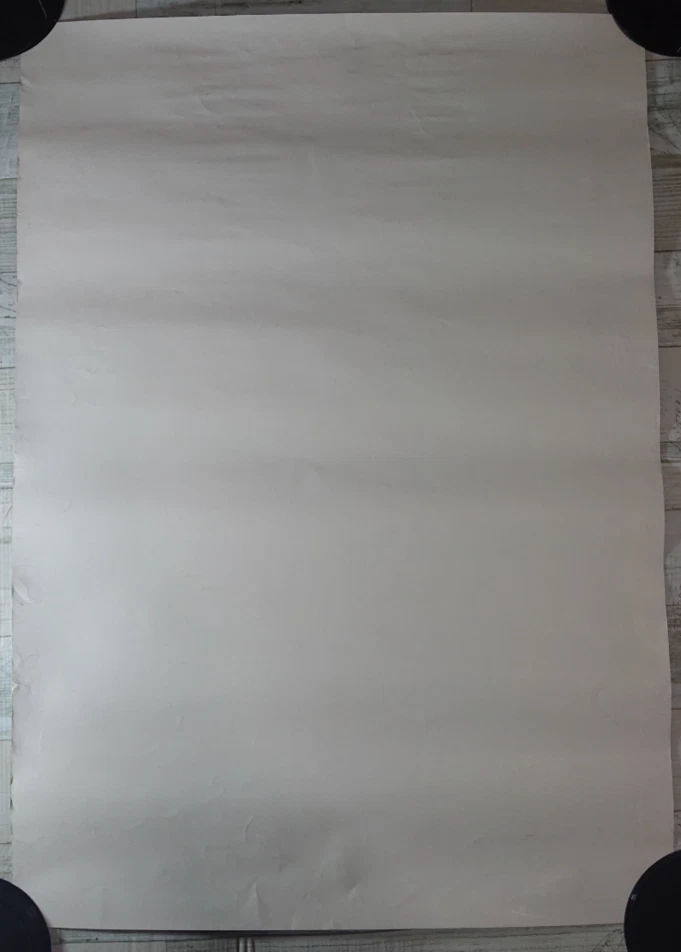 BIOHAZARD Gun Survivor 4 Japanese Poster B2 Size Resident Evil Survivor 4 - USED - Image 2 of 4