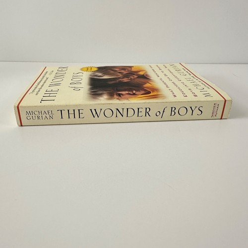 The Wonder of Boys book by Michael Gurian (Paperback) - Picture 4 of 8