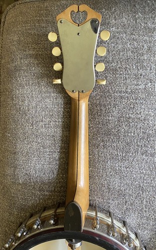 Whyte Laydie Banjo 8 String Hard Case Style L Fairbanks Vega 46575 - Picture 9 of 15
