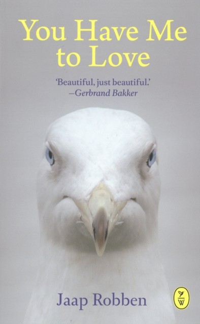 You Have Me To Love by Jaap Robben (Paperback Book)