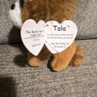 TY Beanie Boos - TALA the Brown Dog (Glitter Eyes) (6 in) - MWMTs Boo Toy — photo 3