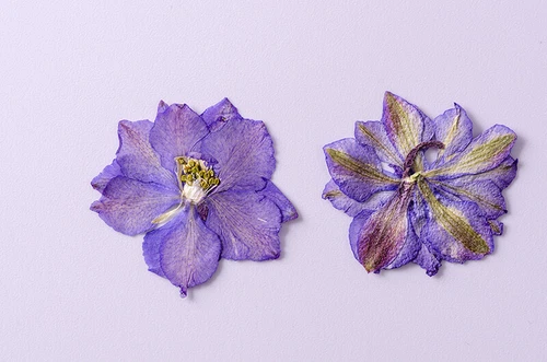 Dried Pressed Flowers Natural Epoxy Resin Candle Nail Art Scrapbooking Craft AU - Picture 114 of 210