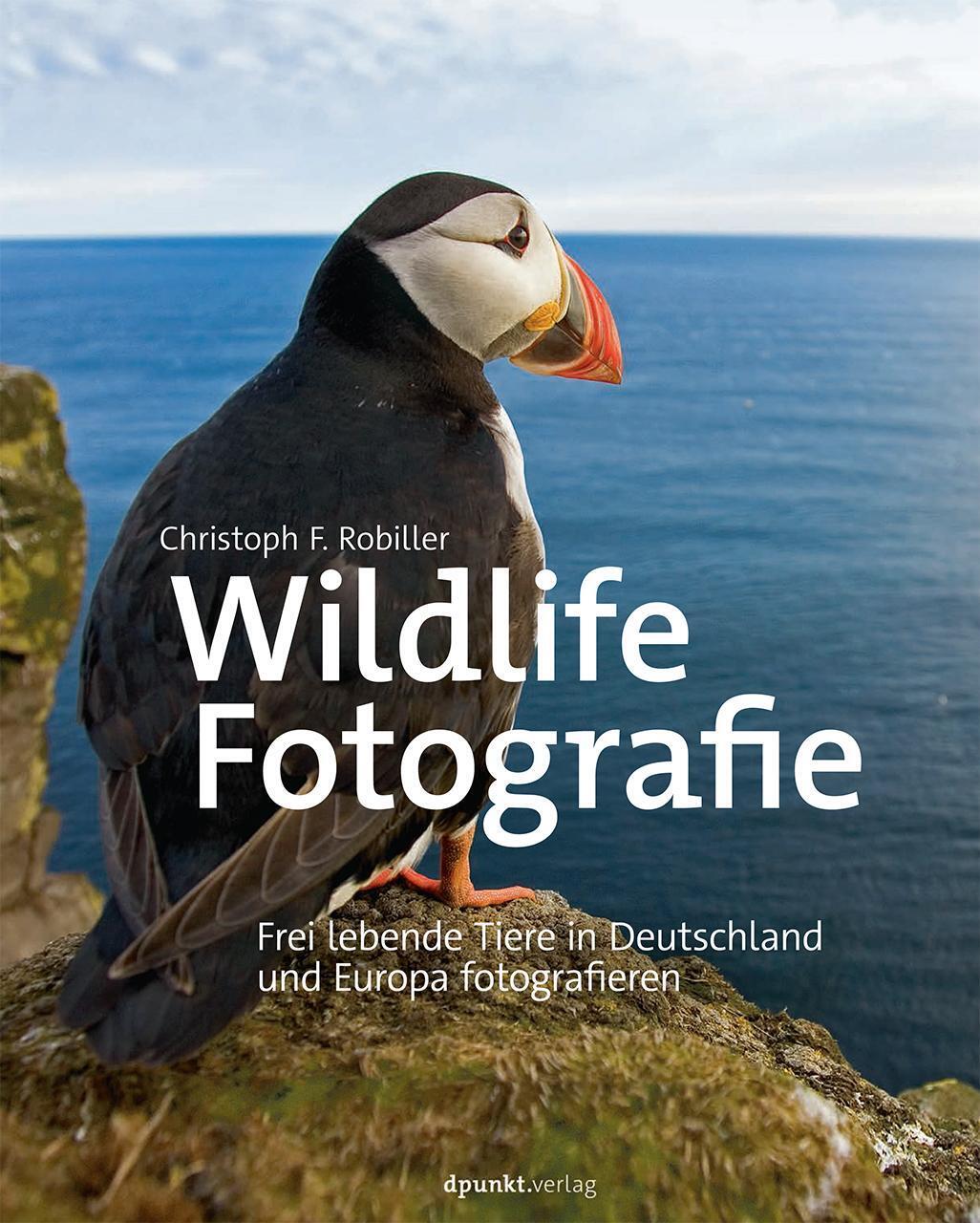 Thumbnail - Wildlife-fotografie | Frei Lebende Tiere In Deutschland Und Europa