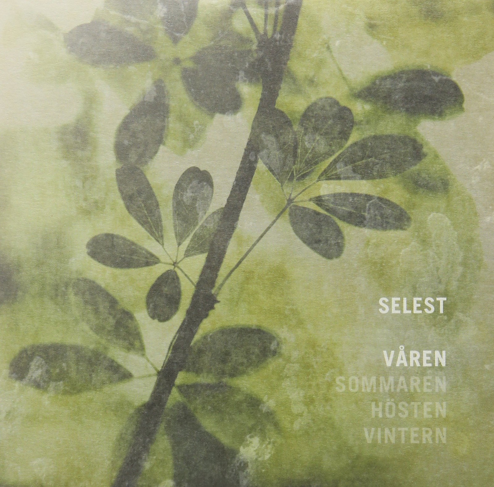 Селест Варен (CD)