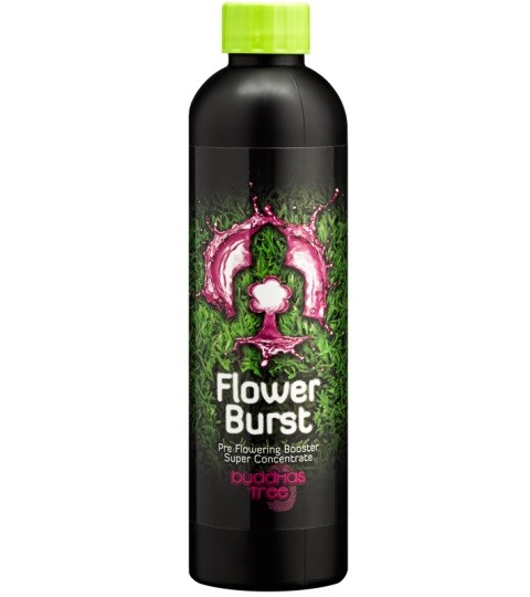 Buddhas Tree Flower Burst 250ml - Early Flowering Booster Stimulator