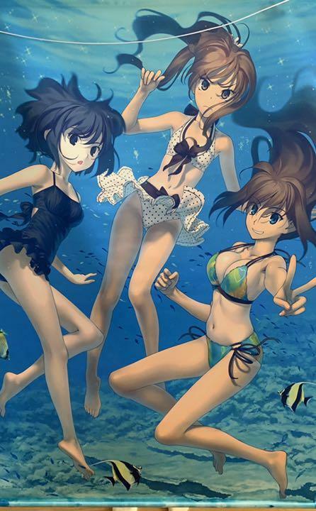 WITCH ON THE HOLY NIGHT Aozaki aoko kuonji alice tapestry 1030