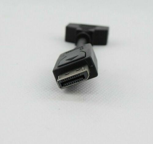 Tripp-Lite P134-000 DisplayPort Male to DVI Female Adapter Converter 6" NEW - Picture 3 of 4