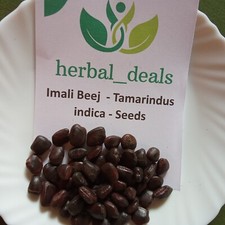 Tamarind Seeds  Powder Imli Beej - Tamarindus Indica  Cooking, Plant Growth