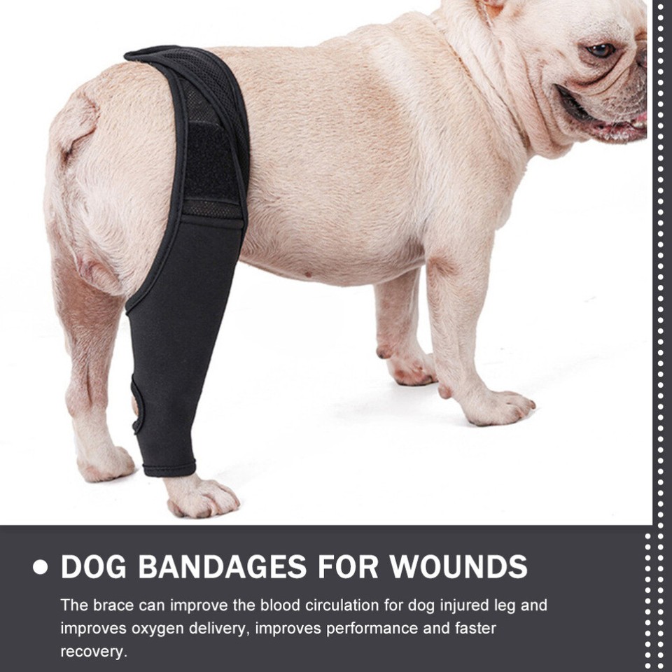 Dog Leg Cover Supplies Wound Care Sleeve Knee Brace Mesh Fabric eBay