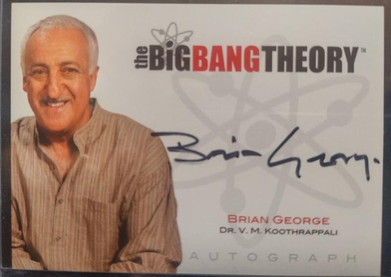THE BIG BANG THEORY BRIAN GEORGE (DR. V. M. KOOTHRAPPALI) AUTO