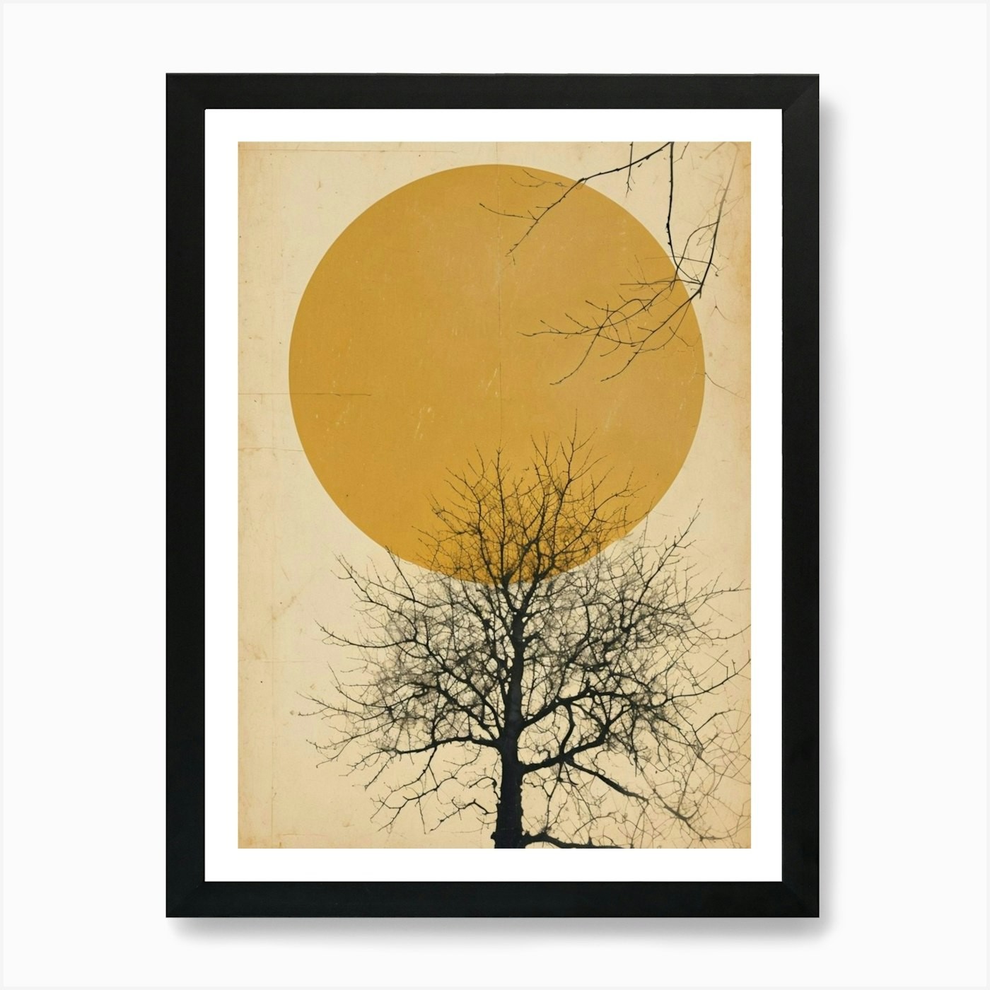 Winter Morning With Tree In The Sun Framed Wall Art Poster Canvas Print Picture