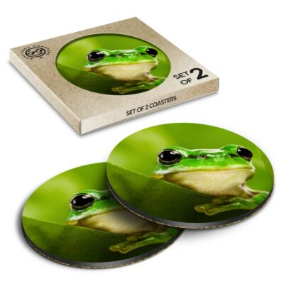 2 x Box Runde Untersetzer - Grün Baum Frosch Dschungel Tropisch #8229