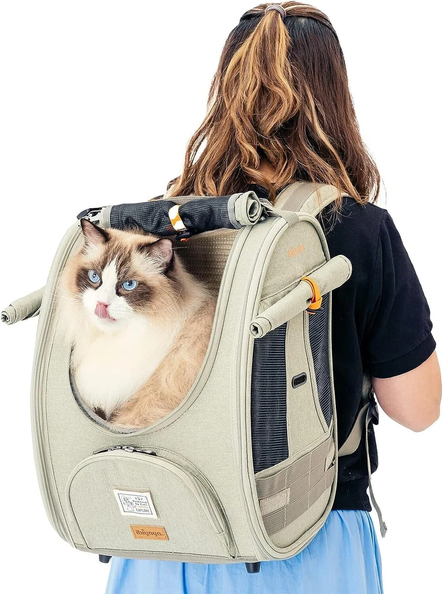 Airline approved on sale pet carrier backpack