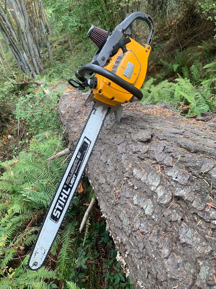 TORELLI AGOSTINO - MOTOSEGA STIHL MS 172 CON BARRA DA 40 CM - Foto 3