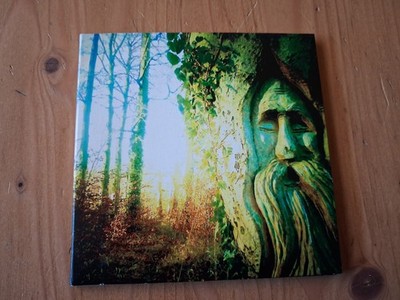rare CDR: Psychic Lemon - Same neuwertige Psych / Prog  Self Release
