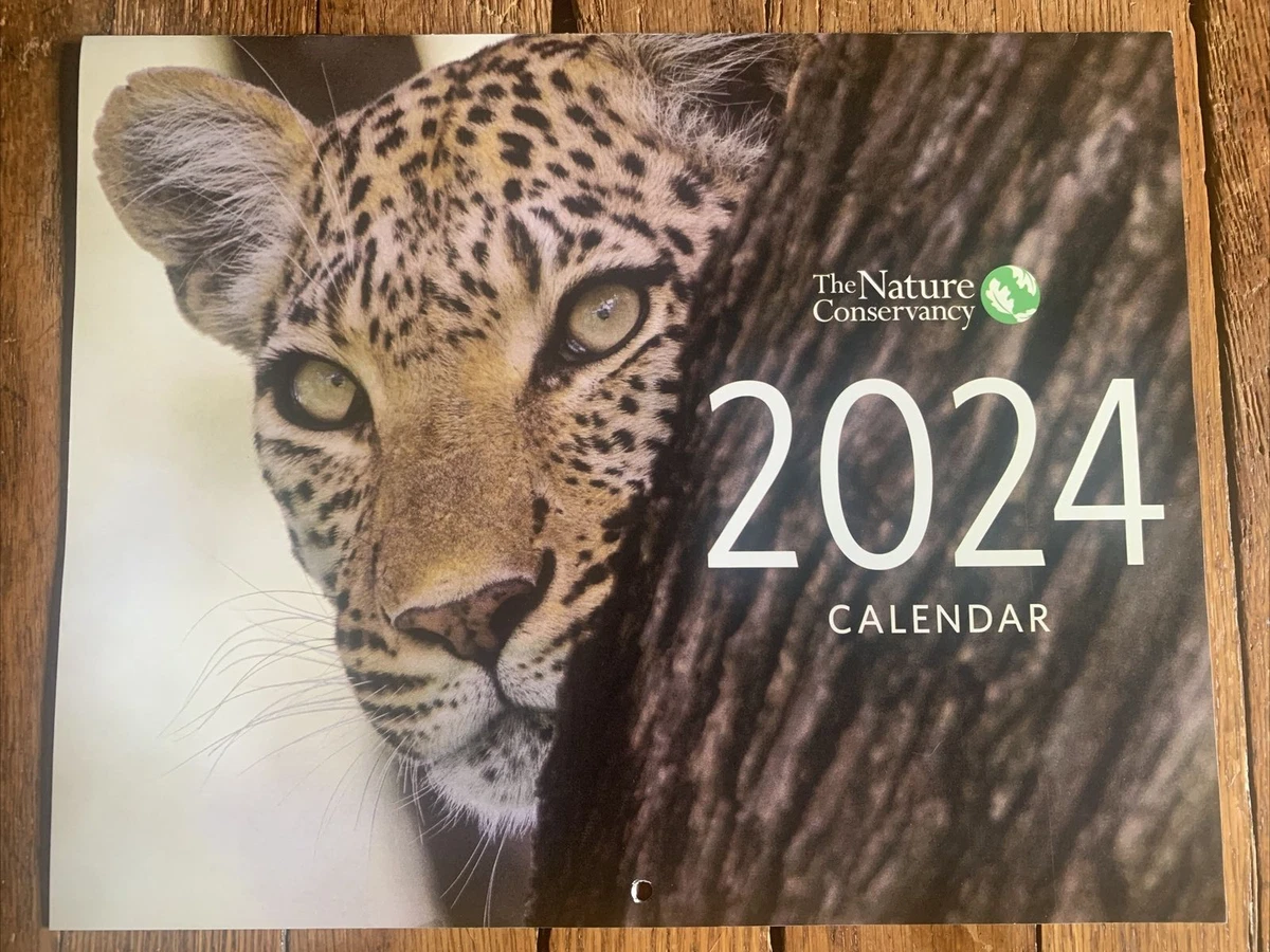 2025 Nature Conservancy Calendar Ebay caye victoria
