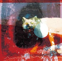 Mogwai - As The Love Continues - Vinyl Record Vinyl - G3Z
