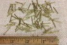 5/8” SOLID BRASS BRADS 50 NAILS Round Head 18 gauge Escutcheon pins USA made!  — photo 1