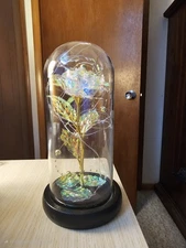 Iridescent Color Changing Flower In Glass Dome