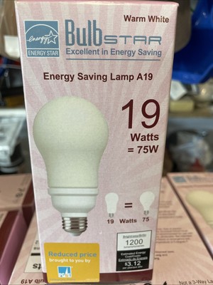 Ge Fluorescent  Warm 19 Watts, 1200 Lumens Lot 4