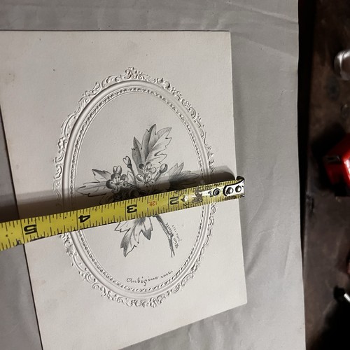 Antique 19th 1857 drawing French Pencil Paper Floral Embossed Paper 5”X7” - Picture 2 of 5