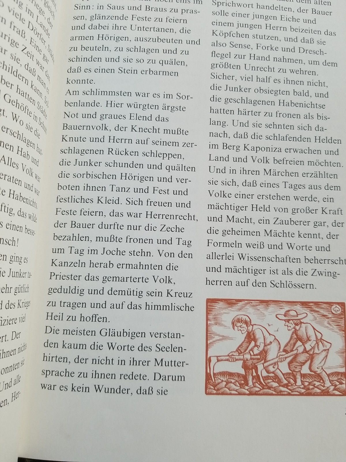 Bild 3 von 11