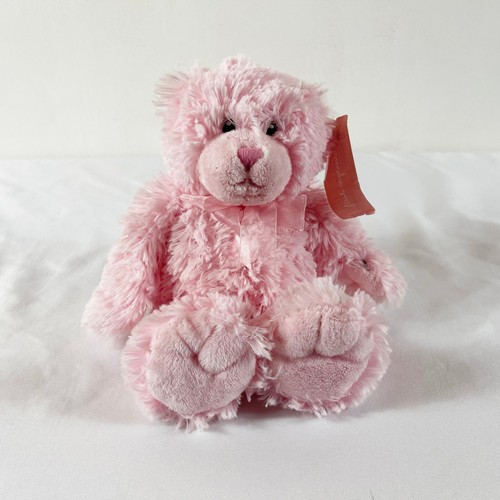 Pink Teddy Bear Plush! 12 