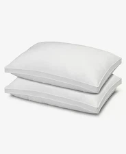 Ella Jayne Gusseted Firm Plush Down Alternative Side/Back Sleeper 2-Pack Pillow,