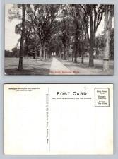 Andover, MA-Massachusetts, Elm Arch Tree Lined Walk Card Vintage Postcard