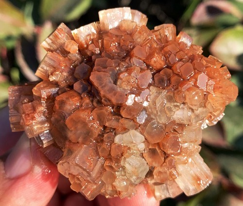 95.8g WOW! Natural Orange Flowery Aragonite Crystal Cluster Specimen ie4956 - Picture 5 of 14