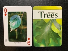 Swap Playing Card  MIDWEST TREES  Paper Birch  NINE OF DIAMONDS Stan Tekiela
