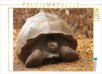 Calvendo Puzzle GaláPagos Giant Tortoise | 1000 Pieces, Finished Size 25.2 × 18.