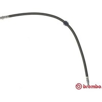 Brembo T 06 039 Bremsschlauch FüR BMW 7 E65 E66 E67