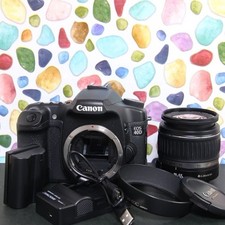 Near Mint Canon EOS 40D DSLR Lens Kit No Mold Memory Card Set US Tax Included