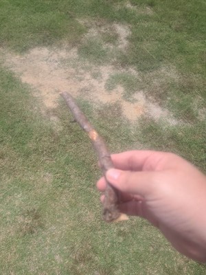 Wizard Wand Of Natural Might Unique 1 Of 1 Wild Magic Wizardry Magic Unique!!