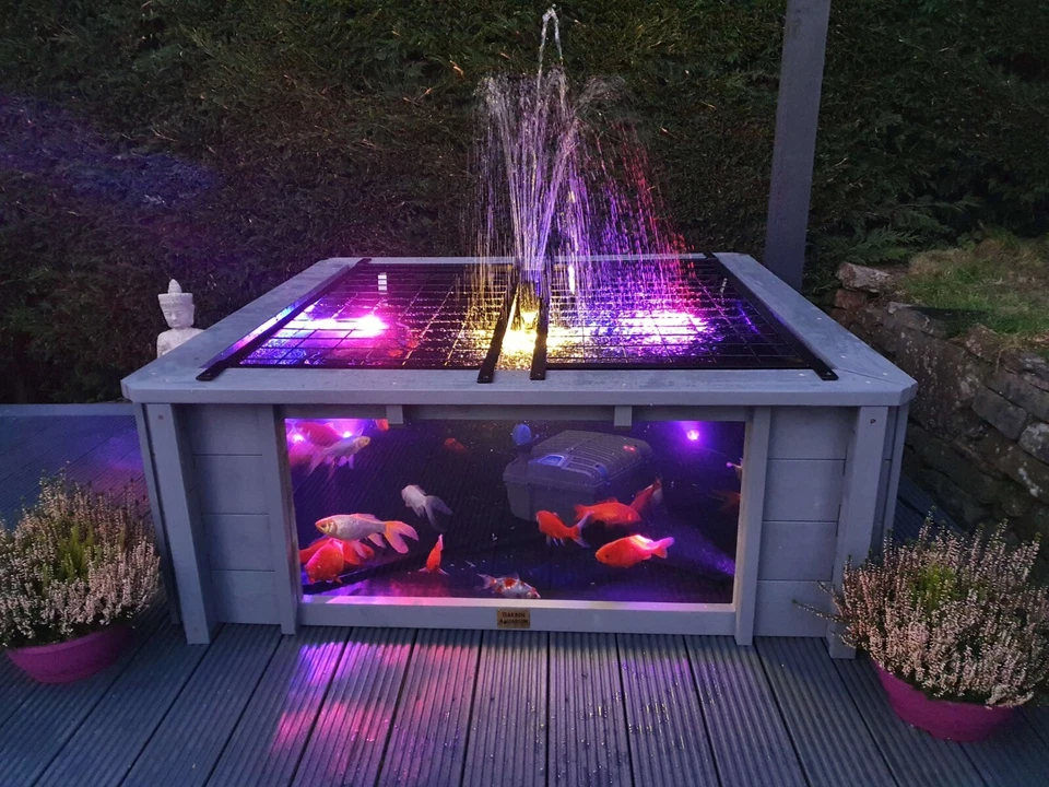 Пруд с двумя большими окнами лотос сад аквариум пруд - Изображение 4 из 4