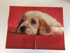 Vintage 1977 Sad Puppy Laying Poster XEROX Education #1799 Davis Delaney Arrow