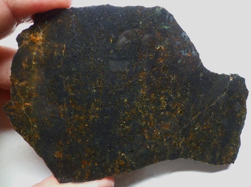 WRG- Pyroxene \ Bronzite Slab 123 grams Wyoming Lapidary agate jasper rhyolite - Picture 3 of 6
