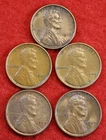 1909-VDB Lincoln Wheat Cent Penny 5 Coin Group 1/10 roll XF Circulated Gr1